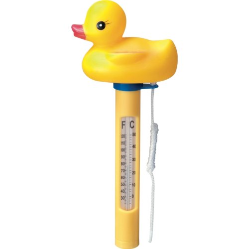 Thermometer Duck pool – Thermometer Duck