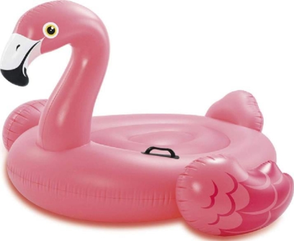 pool – INTEX Flamingo Ride-On